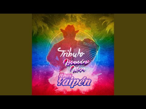 Tributo Lisandro Meza: Trompo Sarandengue / Recorriendo el Perú / La Boyana