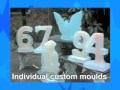Ice Sculpture Molds (Reusable) - Icecraft International ...