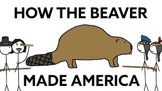 How the Beaver made America