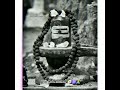Sivan Whatsapp Status Sivamayam Sivaperuman Sivam Sivanmalai Sivalogam Sivapuranam Shivaya