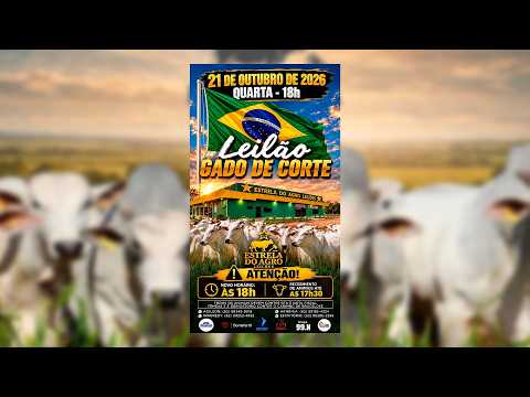 LEILÃO GADO DE CORTE ESTRELA DO AGRO LEILÕES  FAINA-GO 21/10/2026 | Leilão ao Vivo - Leilão de Gado