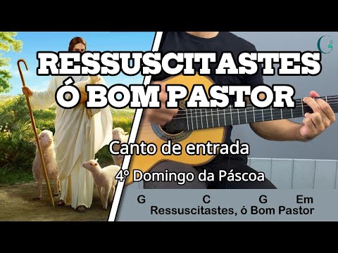 Comunidade Católica Shalom - Bom Pastor…