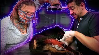 Miniatura do vídeo