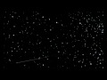 Maestro Studio Animated Logo
