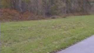 preview picture of video 'Perkiomen Trail Marathon Run for Ron Paul Campaign'