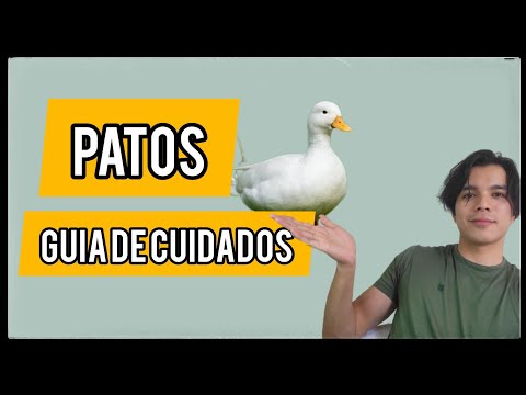 , title : 'Patos! Guía de cuidados'