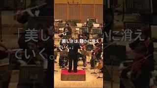 Download lagu ラヴェル「亡き王女のためのパヴァーヌ」終盤。まるで遠い記憶を見送るようなラスト。ラヴェルならではの繊細な色彩と、どこまでも優雅な旋律が静かに響きます。音が消えたあとも残り続ける美しさをぜひ。 mp3 Download lagu ラヴェル「亡き王女のためのパヴァーヌ」終盤。まるで遠い記憶を見送るようなラスト。ラヴェルならではの繊細な色彩と、どこまでも優雅な旋律が静かに響きます。音が消えたあとも残り続ける美しさをぜひ。 mp3