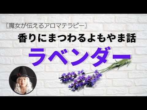 ラベンダー 植物