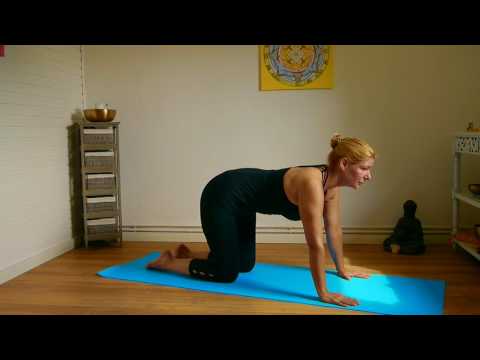 Natürlich Yoga  - Technik für den Vierfüsslerstand als Ausgangshaltungmit Móhini
