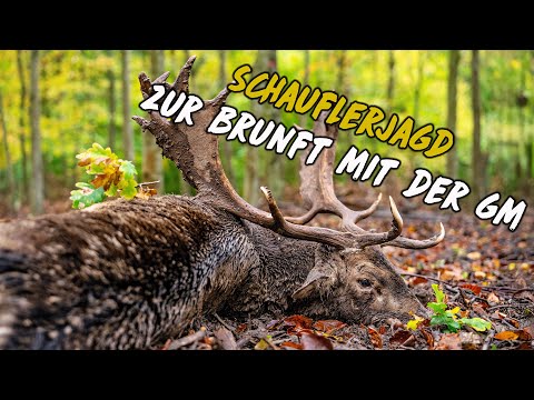 Shoveler hunting during the rut with the GM