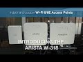 Introducing the Arista W-318