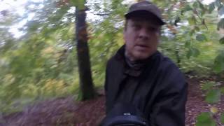 VLOG 015 - a Royal Hunt