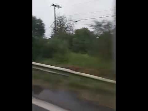 Enchente Rio Grande Sul RS 124 #enchente #chuva #alagamento #riograndedosul #Montenegro #portoalegre