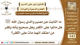 صورة 6703 - الثابت عن مصير والدي رسول الله ﷺ  - نور على الدرب