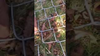 DIY Tip How to seam or splice chain link Fence together