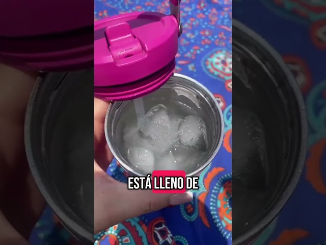 Vídeo relacionado con Get Trend Hello Kitty Cinnamoroll Vaso Termico con Asa y Pajita 850 ml, Termo Cafe Doble Pared, Acero Inoxidable Sin BPA para Llevar, Botella Agua Mantiene Frio 12h y Calor 5h (Azul Cinnamoroll)