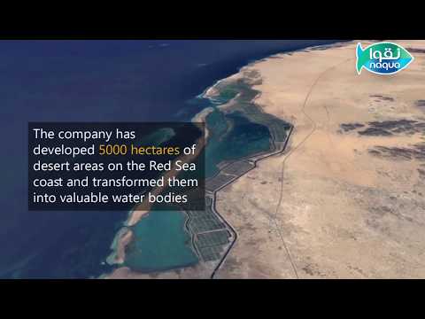 A dream that became reality on Red Sea Coasts of Saudi Arabia - National Aquaculture Group, NAQUA