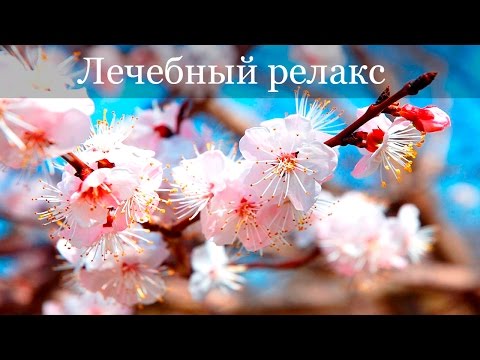 Травма тазобедренного сустава симптомы лечение Лечение остеохондроза поясничного отдела лекарствами