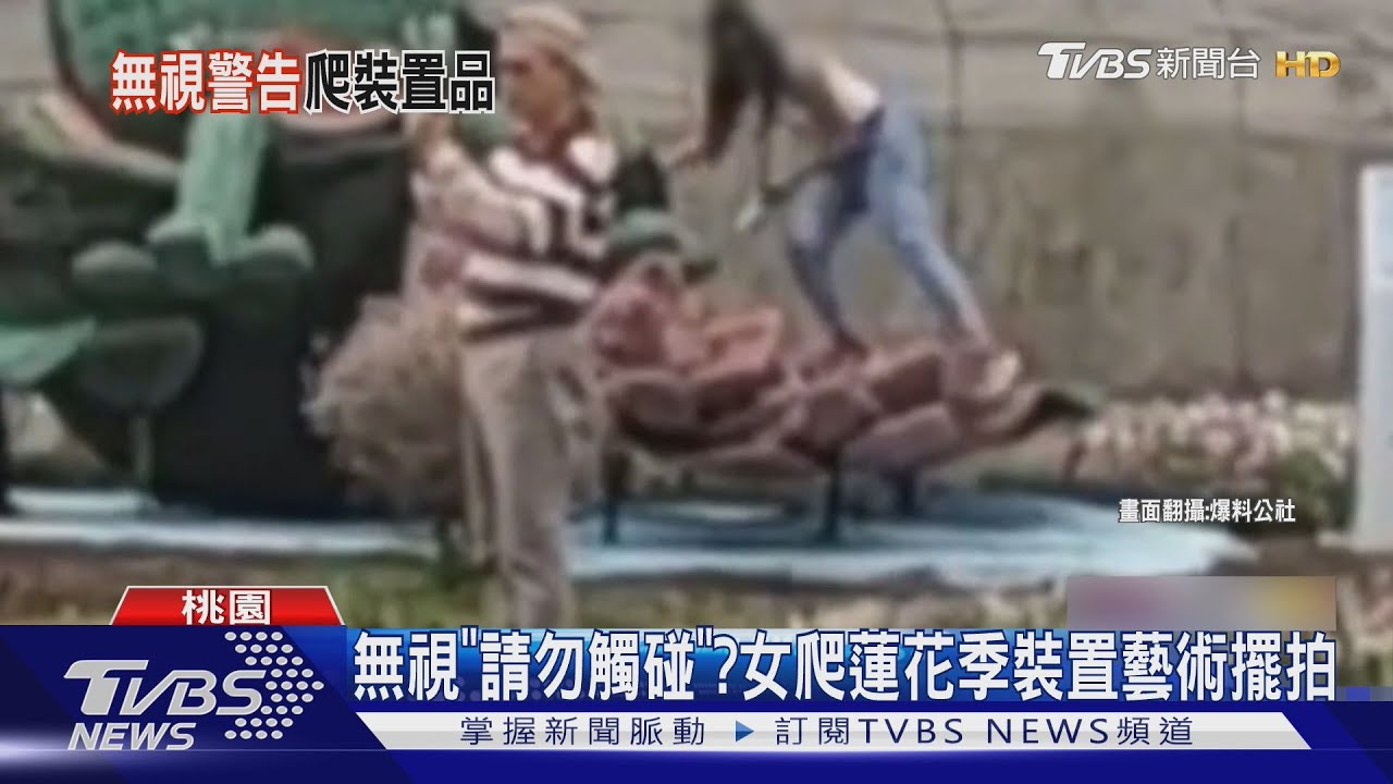遊客無視告示「爬裝置藝術拍美照」 蓮花季主辦單位:加大標語字體