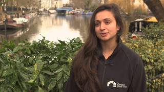 Feeding ducks bread could be damaging their health and habitats