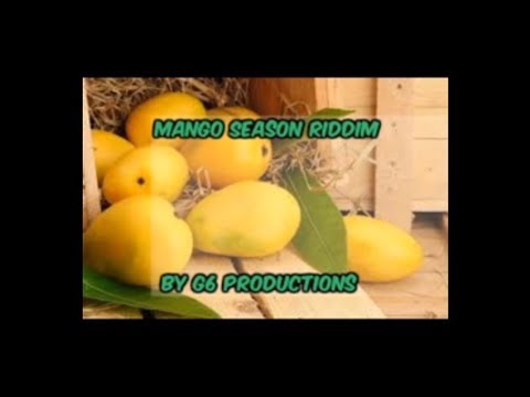 DJ Terror Mango Season Riddim Mix[G6 Productions]