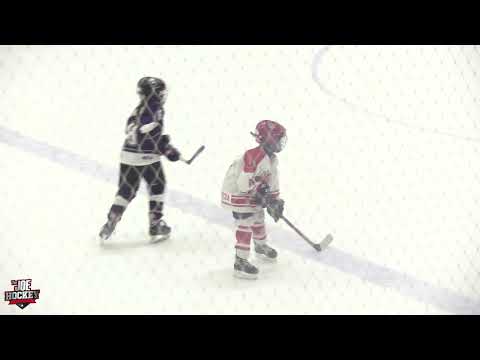 Laeo Zakhour from The Cole Harbour Red Wings U9 DIV mic'd up this morning at The CH Joe Tournament!