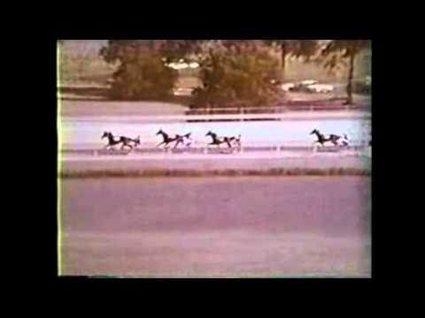 Hambletonian 1968_Nevele Pride