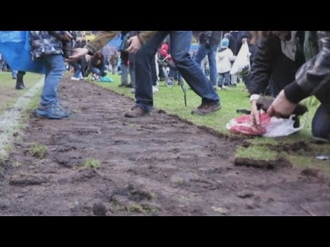 Want a piece of football history? Stadium up for grabs!