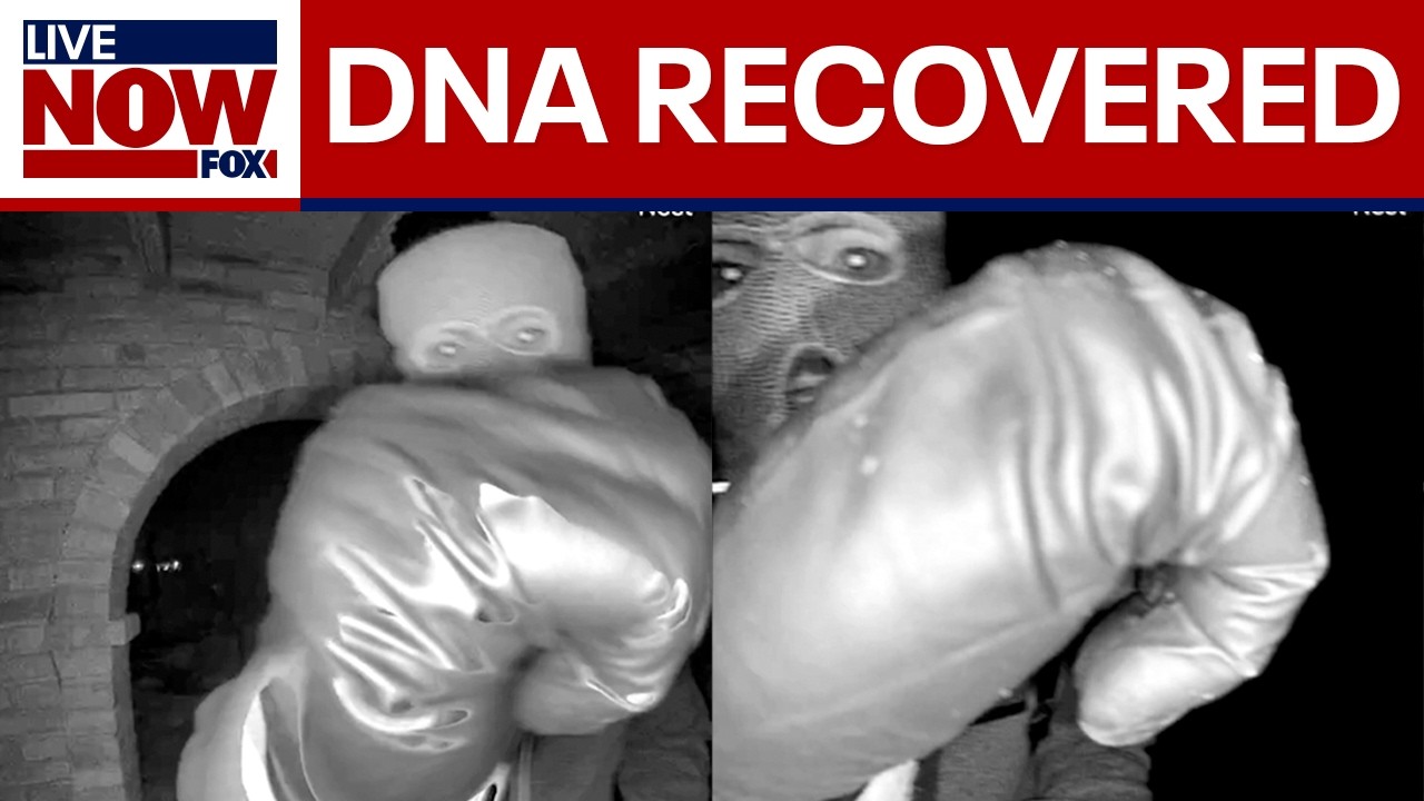 FBI: Glove found in Nancy Guthrie search appears to match suspect's, DNA recovered