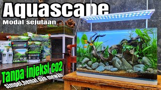 #305 Membuat Aquascape Tanpa injeksi co2,modal 1 jutaan!