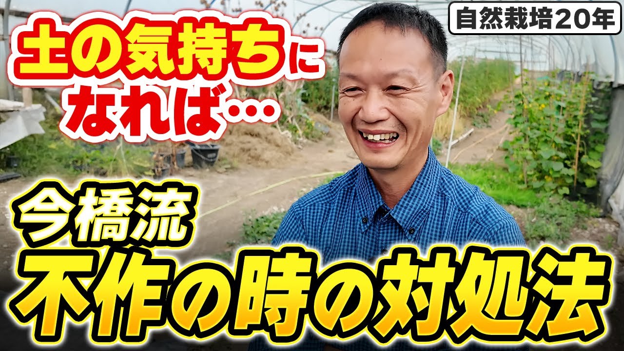 不作でも土を責めない自然栽培の心構え