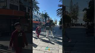 オーストラリアに住むと、こんな景色が日常になる #shorts