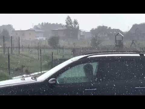 Ett bekymmerslöst hundliv - Äntligen regn!