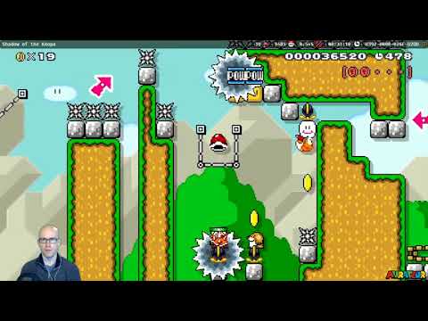 Beating "Shadow of the Koopa" by Fritzef