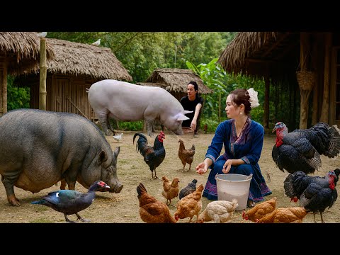 Zon Vang: From City Life to Forest Freedom – Growing Food & Living Off-Grid