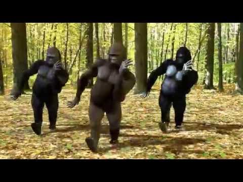 Monkey Spanner. Dave & Ansel Collins. Video Dance. v2