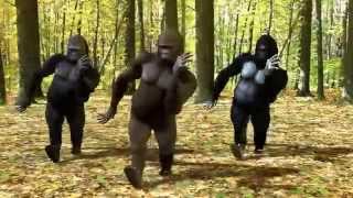 Monkey Spanner Video! Dave & Ansell Collins