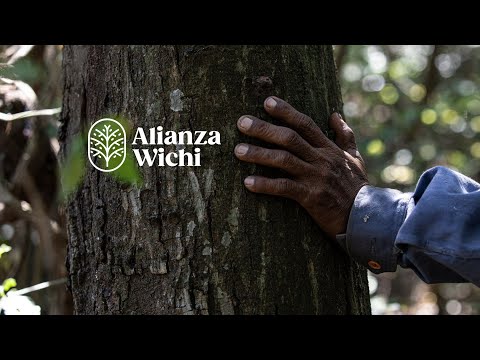 Alianza Wichí: Scaling the Gran Chaco Regenerative Network