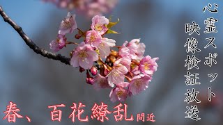 【徹底検証】愛知県の心霊スポットの映像検証【心霊スポット全国制覇者】-japanese psychic spot