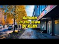Autumn In The Town Of Kemi - Finland