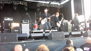 The Briefs - I&#39;m A Raccoon (Live)