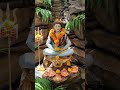 Har Har Mahadev Mahadev Bhagwan Reels Video New Shorts Shorts