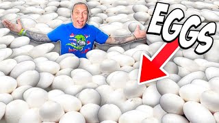 We Found 326 Snake Eggs Today! by Brian Barczyk