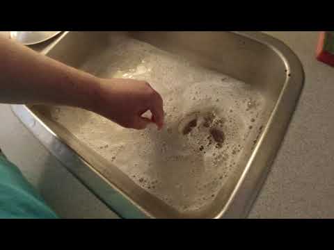 MongoTV_5950 - Min Aftensmad - DANISH MUKBANG - Del 2 - FRIKADELLER Med KARTOFFELSALAT og RØDKÅL