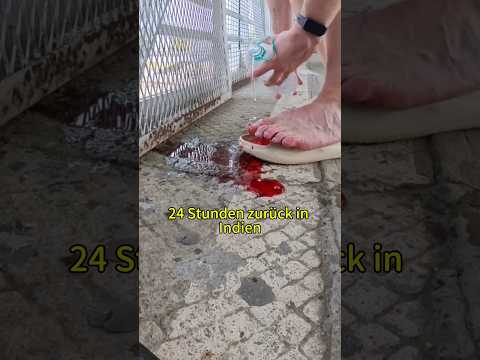 Blutige Verletzung in Indien😳 (ja, wieder Indien)