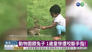 [問卦] 兔兔知道自己那麼可愛嗎？