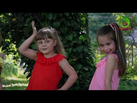 DO-RE-Micii (Ungheni) - Top Modele