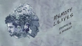 Memory Leaves Music Video
