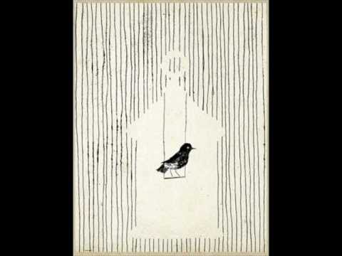 Xhevdet Hafizi -  O bylbyl