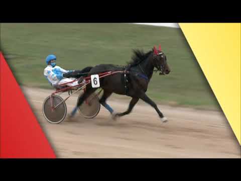 Lósport: Az elmúlt hétvége galopp-és ügető futamai a Kincsem Parkból